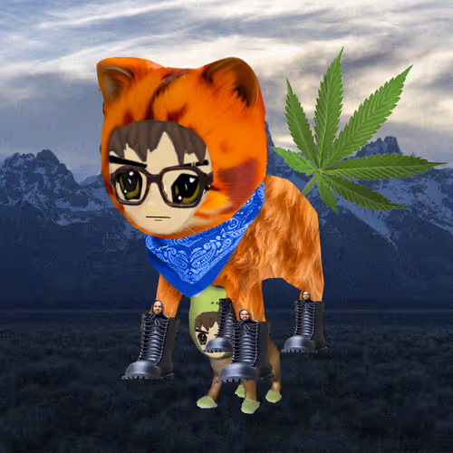 Radbro Radcats