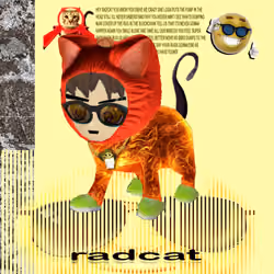 Radcat #4140