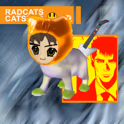 Radcat #6952