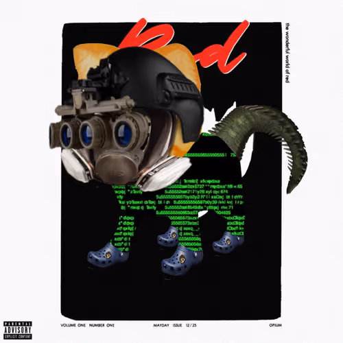 Radcat #4365