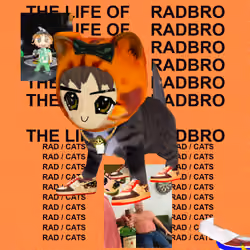 Radcat #2957