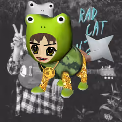 Radcat #1671