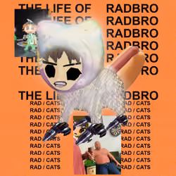 Radcat #2992