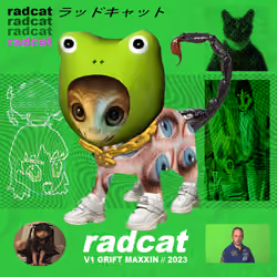 Radcat #4872