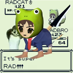 Radcat #3537
