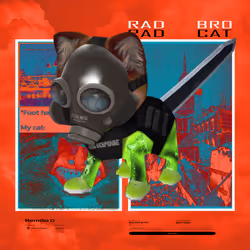 Radcat #6107
