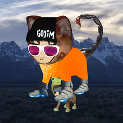 Radcat #2661