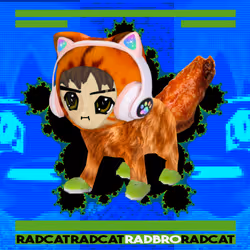 Radcat #1229
