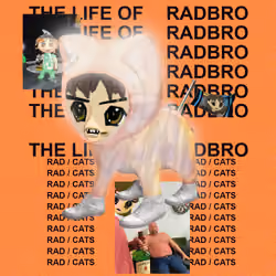 Radcat #5575