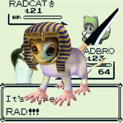 Radcat #3735