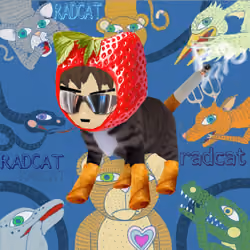 Radcat #5143