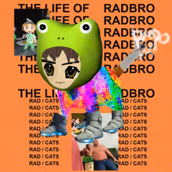 Radcat #2846