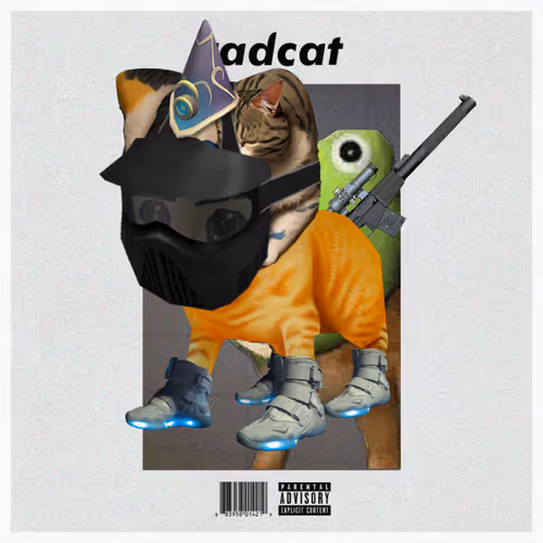 Radbro Radcats