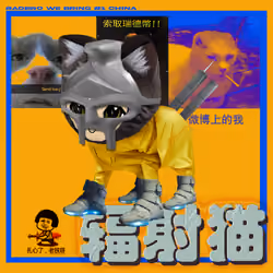 Radcat #164