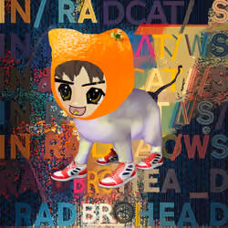 Radcat #2344
