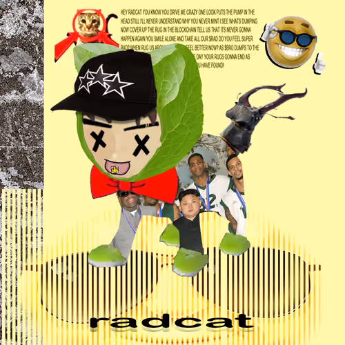 Radbro Radcats