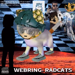 Radcat #2480