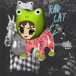 Radcat #3864