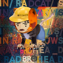 Radcat #3549