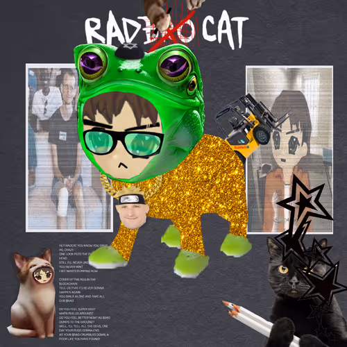 Radcat #1539