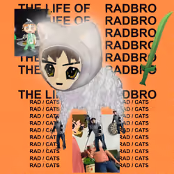 Radcat #1215
