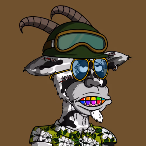 #66