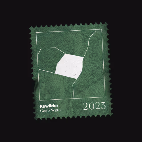 Rewilder Origin Donation #22