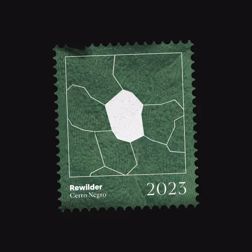 Rewilder Origin Donation #9