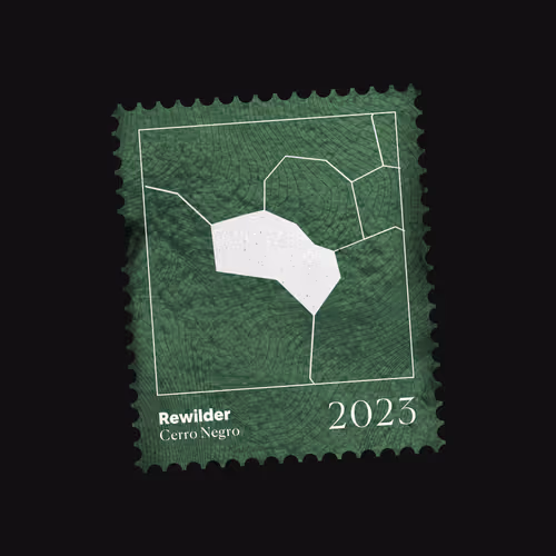Rewilder Origin Donation #7