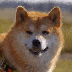 Cinnamon Shiba Inu With A Smile