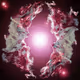 Touching the Cosmos