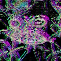 FACE319
