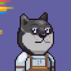 DOGE 0XZQ #231