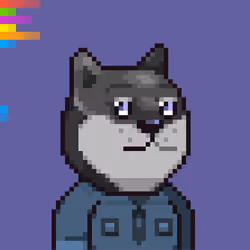 DOGE 0XZQ #216