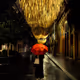 Urban Solitude