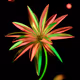 whispersofbloom