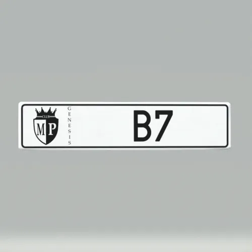 Metaverseplatesclub