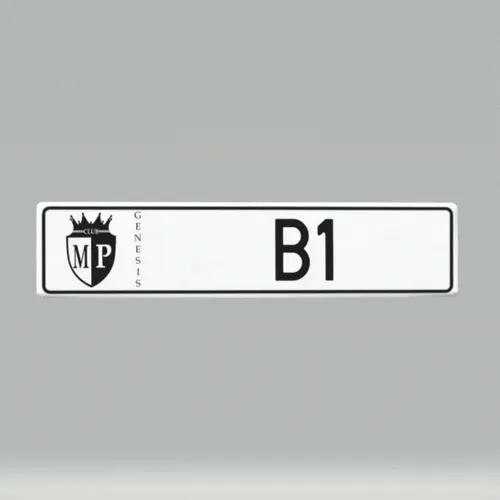 Metaverseplatesclub
