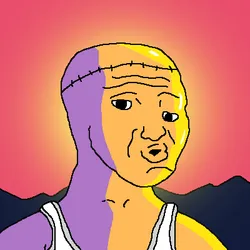 3233