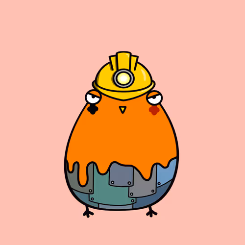 Chonkychknsofficialcollection