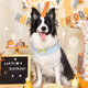 DUODUO DOG