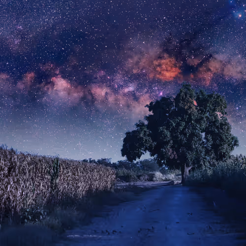 Blue Shades of Mexico