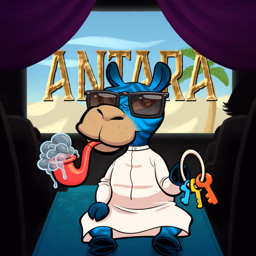Arabian Baby Camel #398