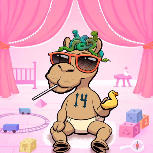 Arabian Baby Camel #549