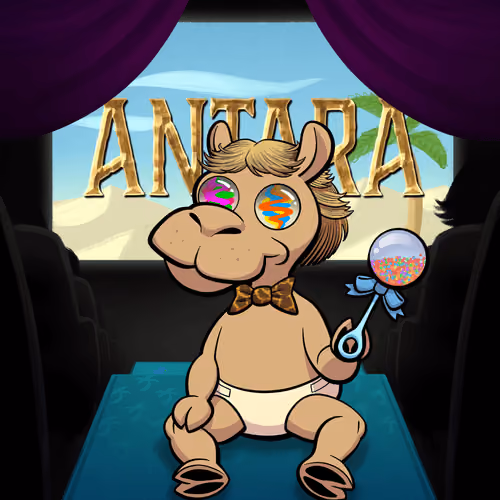 Arabian Baby Camel #37
