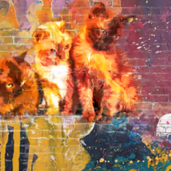Graffiti with three kittens in chaos of paint