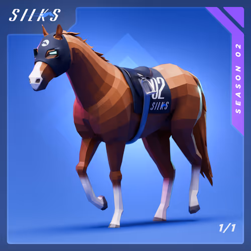 Silks Racehorses