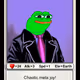 24313