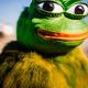 24998