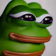 25029